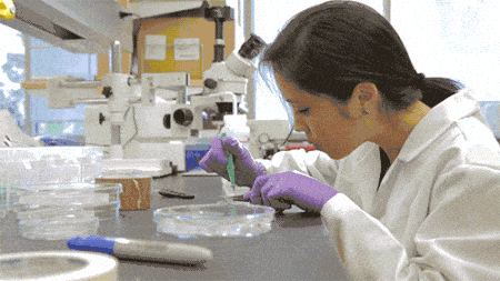 Affordable Cancer Medicines